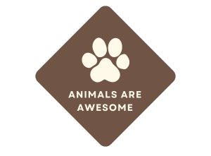 Animals Are Awsome